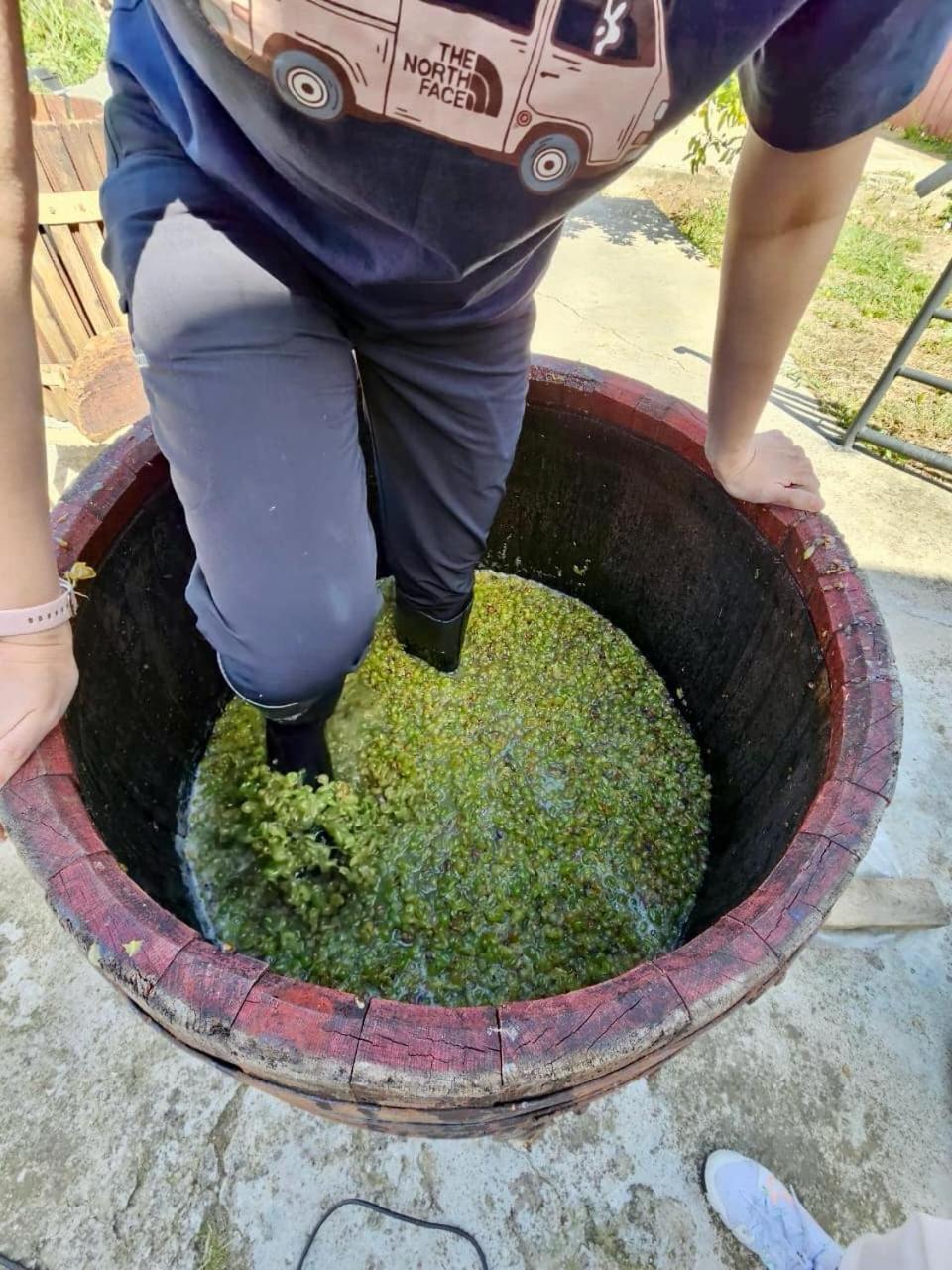 Guesthause Bagdati Bagian luar foto